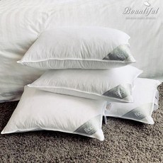 호텔파크하비오