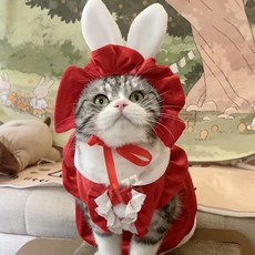 고양이 강아지 메이드복 로리타 할로윈 드레스 의상 촬영 공주, 1개, 레드토끼 메이드복 6kg내