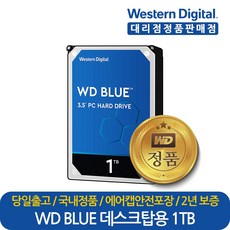 하드디스크1테라