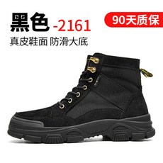사막화전술화