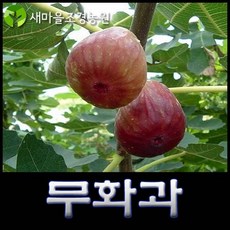 50b605d942be4337e4cf772ad49e278dff62f9e0fd756fee660d76acd8f2.jpg