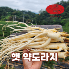 명품수랏간 국산 도라지 3년근 약도라지 세척도라지, 1박스, 1kg(세척약도라지,실속)