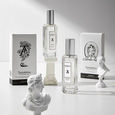 탐니크고체향수