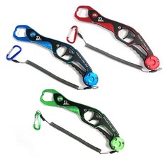 데스페라도립그립