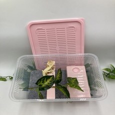 [Locsa] 렙타일하우스 중 size ( 크레스티드게코 적재형케이지 붙이류사육장 ), 핑크