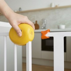 플라잉덕안전문