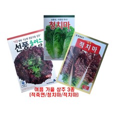 가을상추