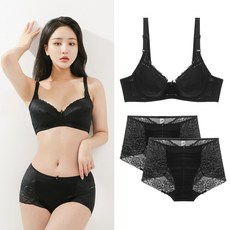 비너스 홑겹 레이스 A~F컵 빅 사이즈 브라 팬티 세트 1+2P