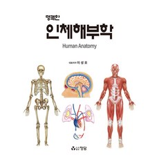 명쾌한 인체해부학, 이성호(저),정담,(역)정담,(그림)정담, 정담