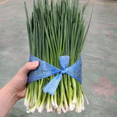 [산지직송]당일 수확후 작업한 깐쪽파 1단 1kg, 1개