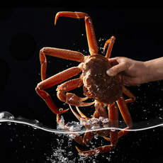 러시아 활대게 A급 자숙 대게 스노우크랩 찜 버터구이, 1개, 러시아 A급 자숙선어대게4kg(3~5미내외)