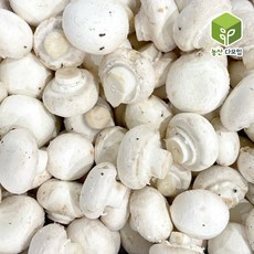 국내산 양송이버섯 1kg, 1개