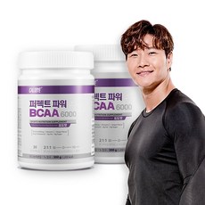 칼로바이 퍼펙트 파워 BCAA 6000 아미노산 300g 2개