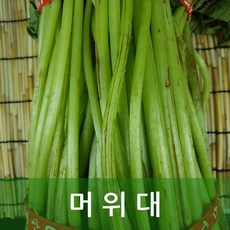 머위대 생머위대 4kg 행복한식탁