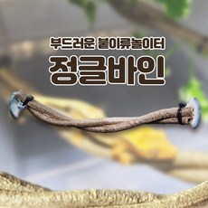 정글바인