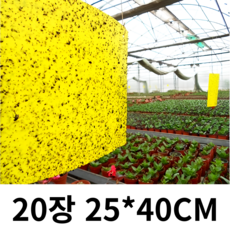 3초쿨 노랑트랩 250mm*400mm 대형 다용도 비닐하우스 초파리 날파리 러브버그 해충퇴치기, 20개