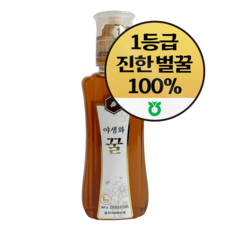 한국양봉농협 야생화 꿀, 1개, 500g