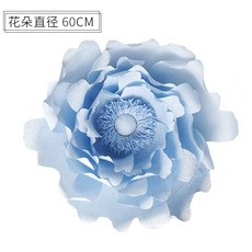 시그니엘프로포즈