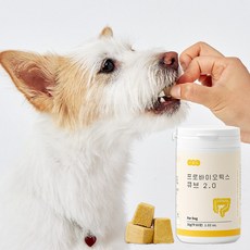 수플담 프로바이오틱스 큐브 2.0 강아지 유산균 설사 변비, 65정, 장건강/유산균, 1개 장/유산균, 1개