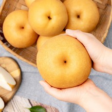 나주배 선물세트 설명절 과일선물세트 GAP인증 산지직송, 1세트, 특품 5kg(8-10과)