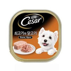 시저 반려견 주식캔, 닭+소, 100g, 24개