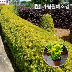 46b19adbb310f6f06ad8e7efd842ced85934660a975e96db04da43dcb642.jpg