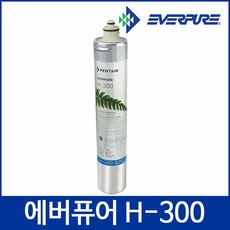 에버퓨어h300