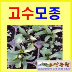b78dedbc7382cd77c2aed25aaf316fead0f4a613c8604af64c1d0ce8d7ee.png