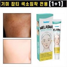 1+1 (당일발송) 기미크림 검버섯 잡티 완화 색소침착 주근깨 톤업 미백크림 20g, 2개