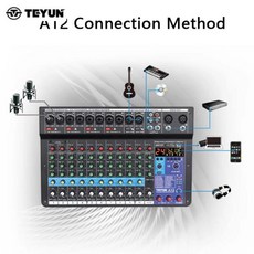 TEYUN A12 채널 오디오 믹서 전문 휴대용 사운드 테이블 보드 디지털 MP3 컴퓨터 입력 48V 전원 번호 A6 A8, 02 A12 EU Plug, 01 CHINA, 1개, 02 A12 EU Plug, 01 CHINA