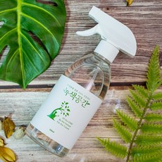 녹색공간 피톤치드 스프레이, 500ml