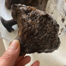 자연산 능이버섯 냉동, 1박스, 1kg