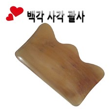 잔스괄사