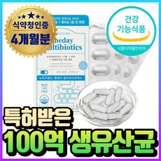 100억 유산균 식약처인증 / 모유 유래 유산균 BNR17 알약 캡슐 식약처인증 비에날씬 유산균 다이어트 bnr 17 체지방 컷팅제 락토바실러스 가세리 람노서스 포스트바이오틱스, 2개, 60정