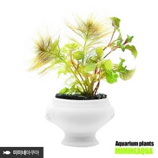 라이언접이식포트