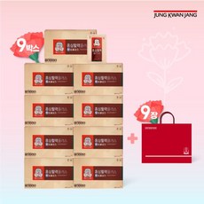 정관장 (일)정관장 홍삼활력플러스 6+3박스(9박스)+쇼핑백 9장, 단일옵션