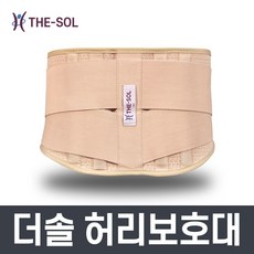 더솔바이오 허리보호대 [TSW-8], 1개