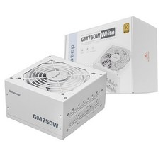 Segotep GM750W 80PLUS GOLD 풀모듈러 ATX 3.1 (PCIE5.1) 파워 화이트 (ATX 750W), 1개, 선택하세요