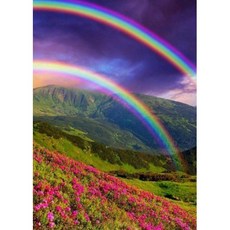 3979b9e7054b35f58d07b118a5c2168f7390bfe6a2d00f9ccfebaf36d0e2.jpg