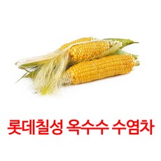 가벼운 매력 옥수수 수염차, 500ml, 48개