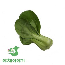 야채이야기 싱싱한 청경채 200g, 1개