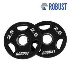 robust원판