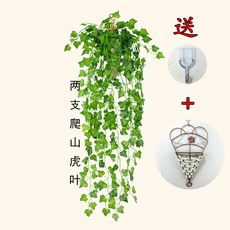 0fd2392bcb78c8d7fecae3c1d13fade8976f34a62be076f9f7995fe45de8.jpg