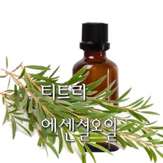 허니솝 티트리 아로마 에센셜오일, 티트리 에센셜오일 30ml - 허니솝