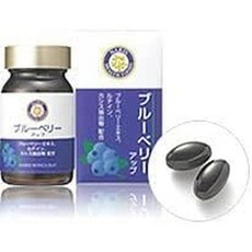 ナリス化粧品株式会社 일본직구 나리스 블루베리 업 1.0온스(27g) 15.2온스(450ml) x 60캡슐), 1개, 상세참조