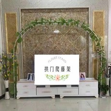 퍼골라