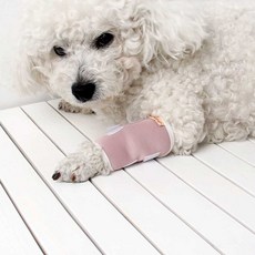 반려견 말티즈 탈구보조기 다리 뒷다리 절뚝 강아지슬개골보호대, 1개, 21. K016블랙(뒤무릎패드/페어)XL