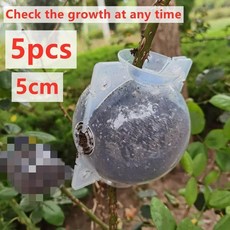 식물 뿌리 공 접목 성장 상자 번식 케이스 정원 용품 직경 5cm 8cm 5개