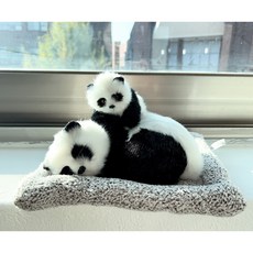 MAYNO 나노활성탄 다용도 장식품, 1개, Panda 모자