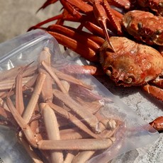 [제철판다] 포항 구룡포 해각포 붉은대게 홍게 다리, 1개, 해각포 원물 100g